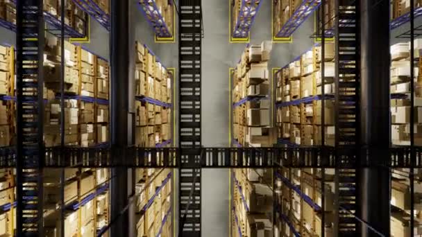 Τεράστιες Εγκαταστάσεις Αποθήκευσης Φορτωμένες Αγαθά Και Προϊόντα Τοποθετημένες Μεταλλικές Σχάρες — Αρχείο Βίντεο