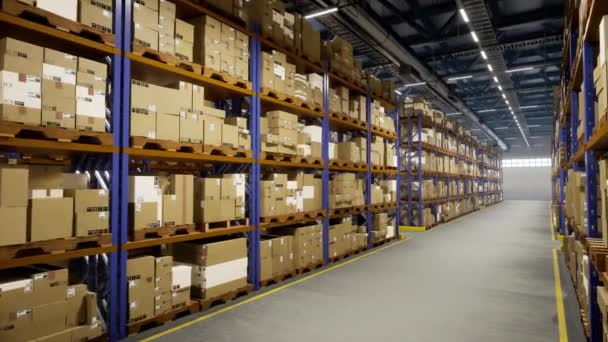 Processing Storehouse Stocks Boxes Order Receipts Details Serves Administrative Center — Stock Video