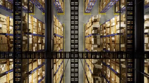 Spacious Warehouse Filled Commercial Goods Supplies Organized Industrial Shelves Stamp — Stock Video