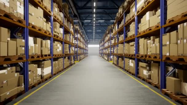 Industrial Warehouse Filled Storage Boxes Labeled Shipment Distribution Center Storing — Stock Video