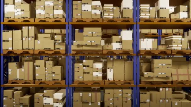 Gérer Stockage Dans Dépôt Opérant Dans Secteur Logistique Chaîne Approvisionnement — Video