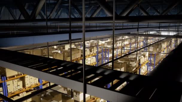 Stora Lager Byggnad Full Produkter Som Placeras Industriella Rack Med — Stockvideo