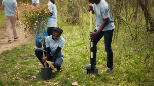 活跃分子小组植树 以保护自然生态和森林环境 在收集垃圾后挖洞 志愿者采取行动 保护森林栖息地 相机A — 图库视频影像