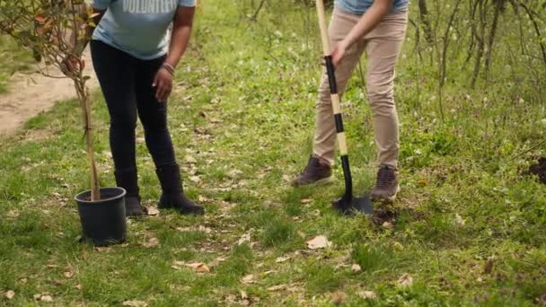 Diversos Voluntarios Trabajan Equipo Cavando Hoyos Para Plantar Árboles Bosque — Vídeos de Stock