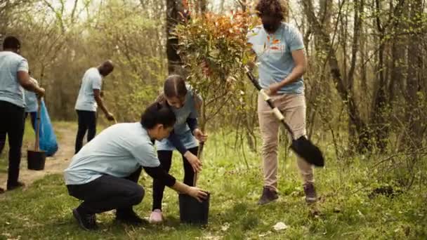 由志愿人员组成的小组在林区周围植树 进行自然保护和保护 为一个养护项目志愿工作 气候变化活动分子种植种子 摄像头B — 图库视频影像