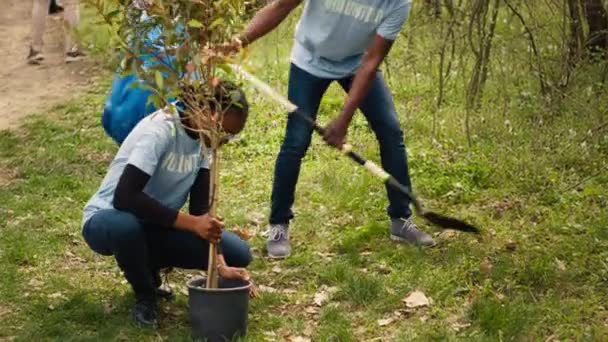 Activistas Ecológicos Afroamericanos Plantan Plántulas Entorno Forestal Trabajando Juntos Unidad — Vídeo de stock