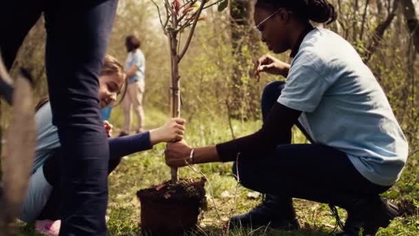 Dos Niñas Diversas Hacen Trabajo Voluntario Plantando Pequeños Árboles Bosque — Vídeo de stock