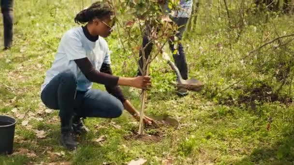 Diversos Activistas Del Cambio Climático Trabajan Para Plantar Árboles Bosque — Vídeo de stock
