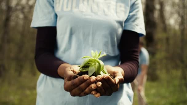 非洲裔美国女孩展示小苗与有机土壤准备种植在地下 保护自然和森林生境 年轻的积极分子为植树做义工 摄像头B — 图库视频影像