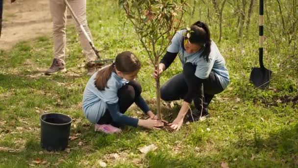 森の周りに新しい苗を植えるボランティアのグループ 穴を掘り 自然保護と保護のための木の種をインストール 母と少女は行動する カメラ — ストック動画