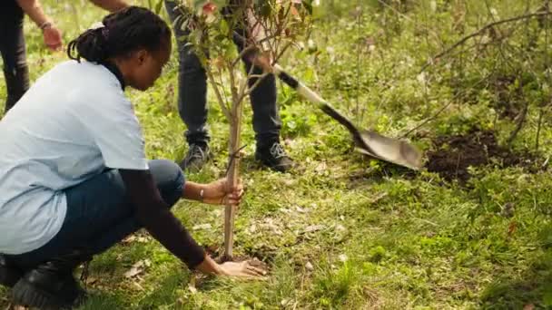 一组志愿者在森林里植树 在地面上打洞 使自然栖息地和生态系统生机勃勃 积极分子为拯救地球做义工 相机A — 图库视频影像