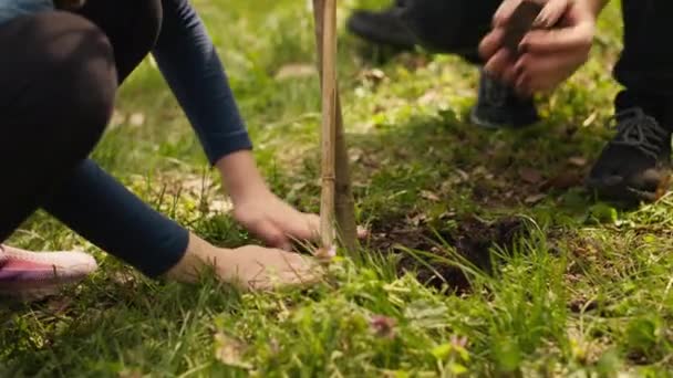 为了维护生态平衡和自然环境 母子合作在森林中植树 活跃分子挖树苗洞 支持可持续的生活方式 相机A — 图库视频影像