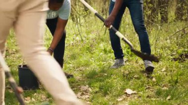 Afrika kökenli Amerikalı aktivistler, doğa koruma için ağaç dikiyorlar, sürdürülebilirlik ve ekosistem koruma konusunda yardımcı oluyorlar. Gönüllü ekip, çevre bakımı ve bitki tohumları için el ele tutuşuyor. Kamera A.