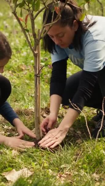 不同的志愿者团队在森林中种植树籽 挖掘洞穴以保护自然栖息地 并在事后培育生命 反对生态正义 环境保护的人 相机A — 图库视频影像
