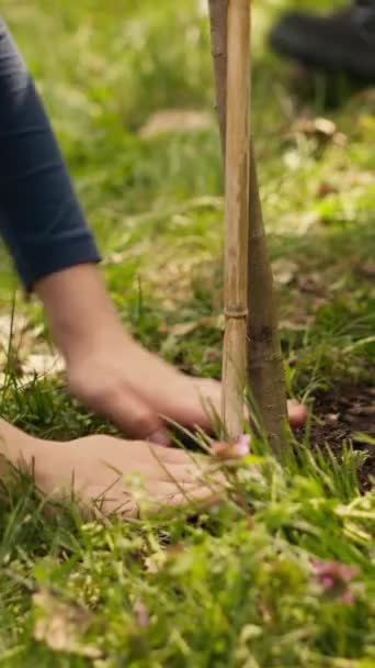 生態学的バランスと自然環境を守るために 母親と子供は森に植樹することに協力します 活動家は芽の穴を掘り 持続可能なライフスタイルをサポートしています カメラ ロイヤリティフリーのストック動画