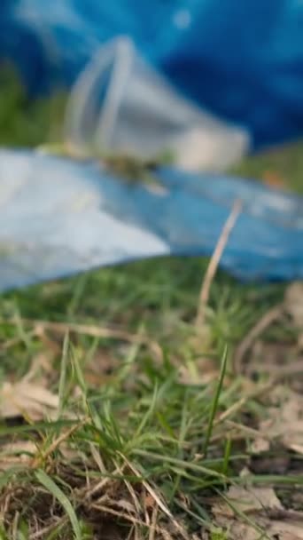 Группа Волонтеров Очищает Лес Мусора Пластиковых Отходов Выхватывая Мусор Мусор — стоковое видео