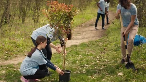 Equipe Voluntários Cultivando Habitat Natural Uma Floresta Plantando Árvores Preservando — Vídeo de Stock