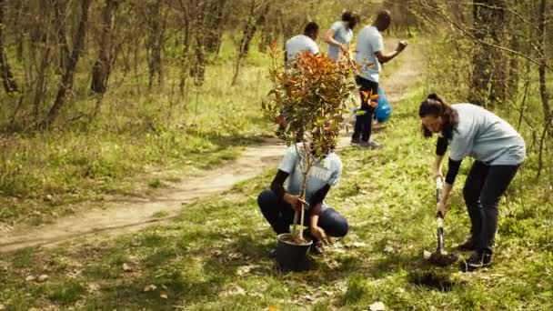 Team Climate Change Activists Doing Voluntary Work Plant Trees Protect — Stock Video