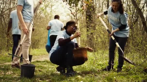Diverse Climate Change Activists Work Plant Trees Woods Contributing Nature — Stock Video