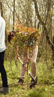 Genç adam ormana küçük bir ağaç diktikten sonra çukur ve zemin kaplıyor, tohum yetiştirmek ve orman ortamını korumak için kürekle çalışıyor. Eylemci gezegen için gönüllü iş yapıyor. Kamera B.
