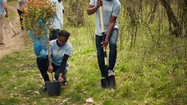 Los Voluntarios Afroamericanos Trabajan Equipo Cavando Hoyos Plantando Árboles Bosque — Vídeo de stock