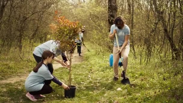 Tým Dobrovolníků Kteří Pěstují Přírodní Stanoviště Lese Sázejí Stromy Zachovávají — Stock video