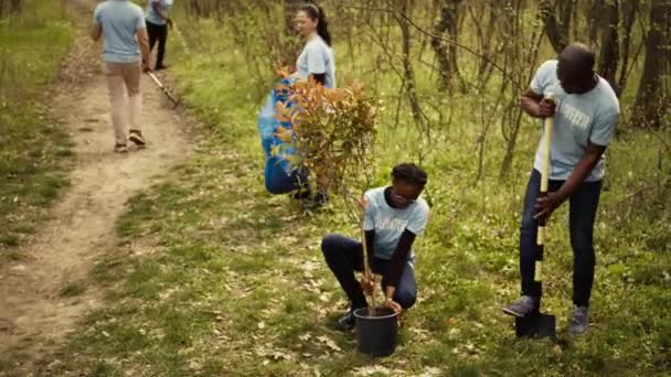 Equipo Activistas Plantando Árboles Para Conservar Ecosistema Natural Medio Ambiente — Vídeos de Stock