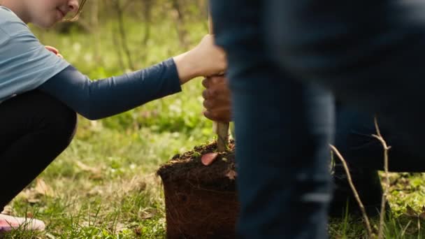 Two Diverse Girls Voluntary Work Planting Small Trees Forest Preserving — Wideo stockowe