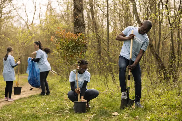 African American Ecologic Activists Planting Small Trees Forest Working Together Stockafbeelding
