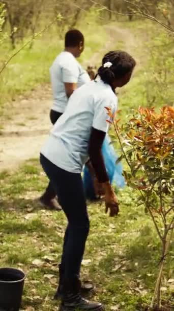 Equipo Voluntarios Plantando Árboles Bosque Cavando Hoyos Suelo Dando Vida — Vídeo de stock