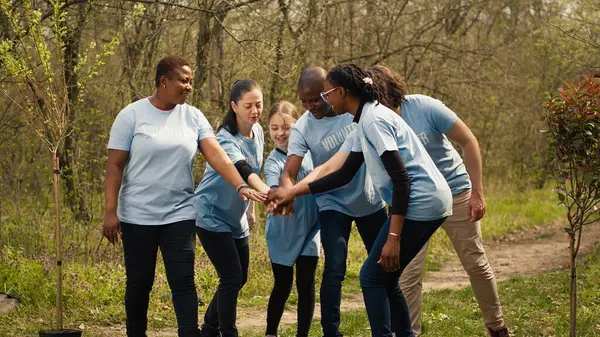 stock image Cheerful proud team of activists join forces to clean a forest, celebrating their volunteering work by connecting hands together. Happy people showing responsibility for the environment. Camera A.