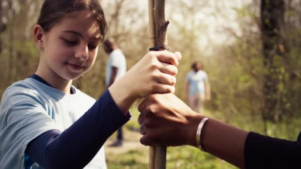 子供と彼女の友人は森に小さな木を植え 野生生物と自然保護に貢献しています ティーンエイジャー 環境教育でボランティア活動をしている少女 カメラ — ストック動画