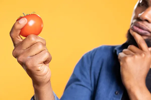 stock image African american adult admiring at a ripe additives free tomato and enjoying healthy eating, stand against yellow background. Pleased vegan guy presenting natural raw produce. Close up.