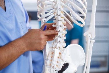 Fizyoterapist mekanik sorunları teşhis eder ve insan iskeletinin omurgasına işaret ederek rahatsızlığı açıklar. Osteopati sistemini ve omuriliğini yakın planda gösteren sağlık ekibi..