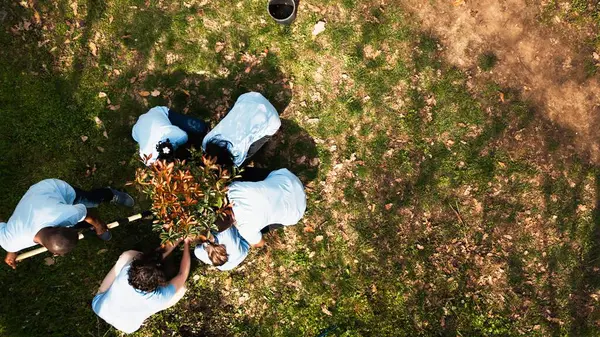 stock image Drone shot of volunteers group planting trees and preserving nature, growing seedlings together and cleaning the environment. Ecological activists gardening, habitat cultivation. Camera A.