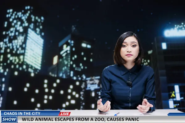 stock image Dangerous animal ran away from zoo terrifies public and panic spreads out in metropolis, according to newscaster. Asian woman transmitting wildlife escaping on international night show.