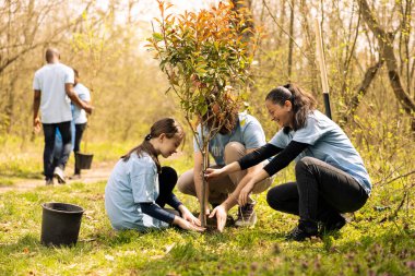 Gönüllüler ve küçük bir çocuk ağaç dikip yerdeki deliği kapatıyorlar ormanların yeniden ağaçlandırılmasına ve ormandaki bitki örtüsünün artmasına katkıda bulunuyorlar. Adanmış insanlar doğa için birlikte çalışıyorlar..