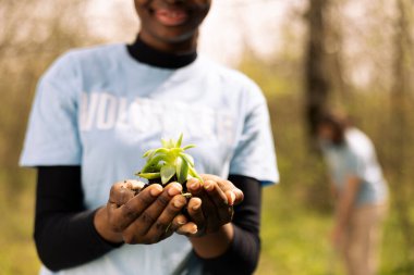 Afrika kökenli Amerikalı genç, gelecek nesiller için organik topraklarda tohum yetiştiren küçük bir bitkiyi tutarak ekolojiyi savunuyor. Ormanın doğal ortamını koruyan genç bir kız..