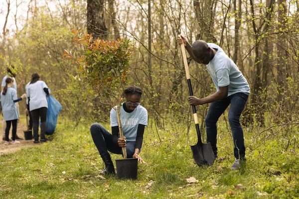 stock image Team of volunteers planting trees to preserve natural ecosystem and forest environment, digging holes with a shovel. Climate activists taking action and saving the wild habitat.