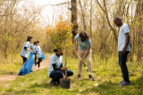 stock image Volunteers team doing community service activities to plant trees, covering holes in the ground with greenery. People contributing to reforestation mission, cultivating consciousness.