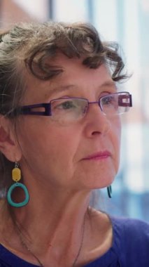 Vertical Video Elderly çifti, yararlı emeklilik planlarını araştırmak, hayat tasarrufu ve emeklilik planlarını güvence altına almak için bir mali danışmana danışıyor. Finans için bankacılık seçeneklerine bakıyorum. Kamera.