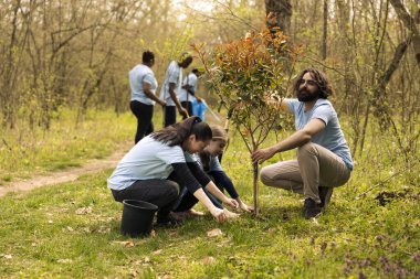 Gönüllü ekip ağaç dikmek için kamu hizmeti yapıyor, yerdeki delikleri fidelerle ve yeşilliklerle örtüyor. Yeniden ağaçlandırma görevine katkıda bulunmak, bilinç geliştirmek..