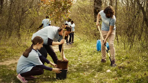 stock image Team of volunteers growing the natural habitat in a forest, planting trees and preserving nature by taking action and fighting to save the planet. Activists doing community service. Camera B.