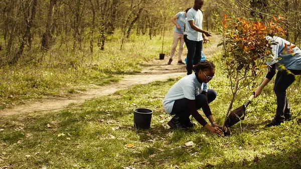 stock image Team of climate change activists doing voluntary work to plant trees, protect natural forest habitat. Planting seedings for future generations, giving life and helping the earth. Camera B.