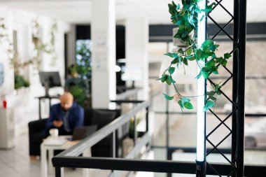 Şirket çalışanı bulanık arka planda yeşil ofis kuruyor. İş adamı koltukta oturup sarmaşık bitkisiyle birlikte açık alanda çalışıyor. Seçici bir odak noktası oluşturuyor.