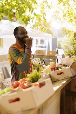 Afrikalı Amerikalı müşteri yerel satıcıdan taze meyve ya da sebze örnekleri alıyor. Zenci erkek tüketici, gıda fuarındaki bahçeden mevsimlik biyolojik ürün satın alıyor..