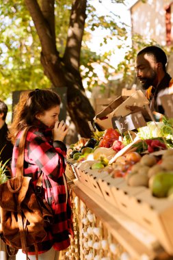 Erkek satıcı, Greenmarket tezgahında yerel olarak yetişmiş organik elmalarla dolu kadın müşteri kutusu sunuyor. Kafkas müşterisi dikkatlice taze eko ürünü seçiyor, satıcının biyolojik meyvelerini kokluyor..