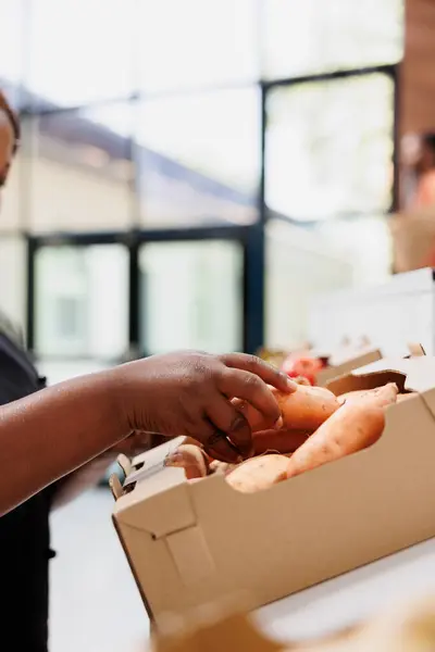 Stock image Female seller in eco conscious store is holding organic sweet potatoes out of a carton. African American shopkeeper arranging chemicals free vegetables on shelves for customers in bio food market.