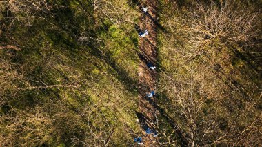 Çevreci aktivistlerin çöpleri ve plastik atıkları temizleyip daha iyi bir doğa koruması için çöp toplayıp geri dönüşümlerini gösteren drone görüntüleri. Ekolojik adalet için gönüllü olmak.