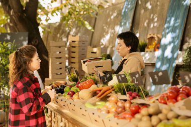 Kadın satıcı, bir sonbahar çiftliği fuarında taze organik meyve ve sebze dolu kutuyu genç müşteriye teslim ediyor. Tüccar, yerel çiftçi pazarında doğal üretim ürünleri satıyor..